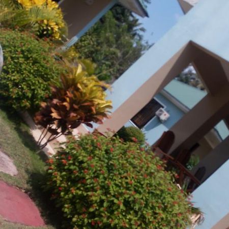 Mara Courtyard Lodge Dar es Salaam Ngoại thất bức ảnh
